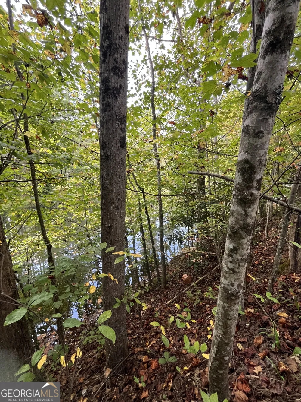 68 Nelson LN Hiawassee, GA 30546