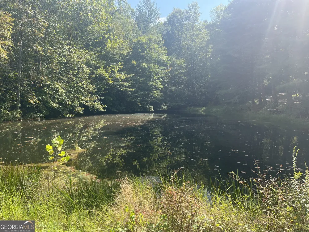 68 Nelson LN Hiawassee, GA 30546