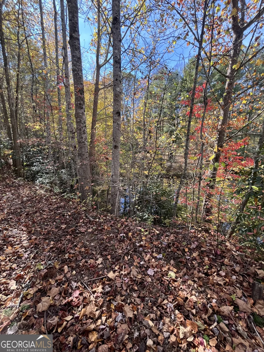68 Nelson LN Hiawassee, GA 30546