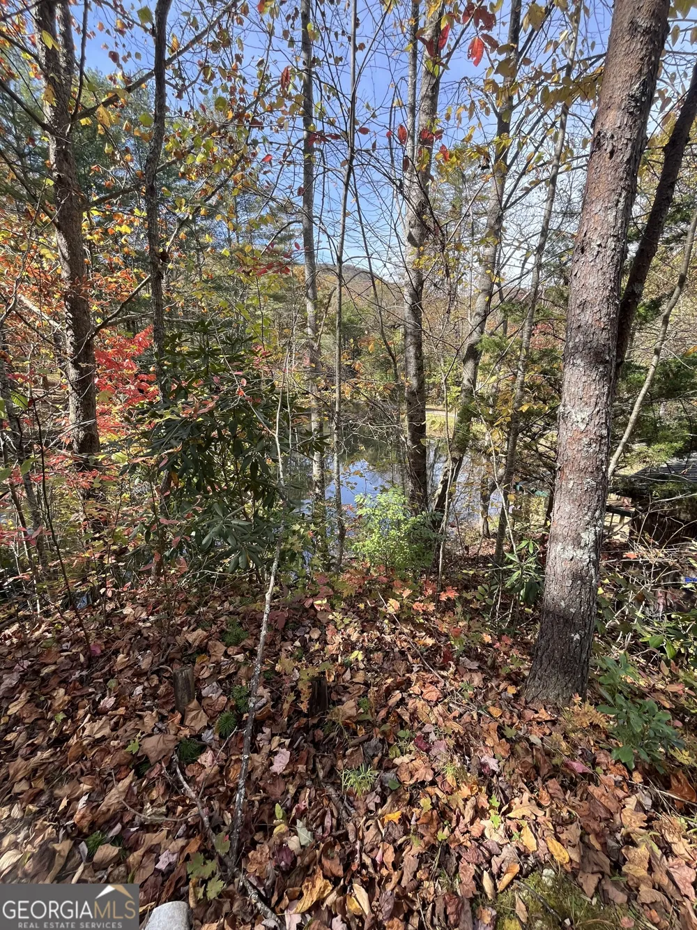 68 Nelson LN Hiawassee, GA 30546