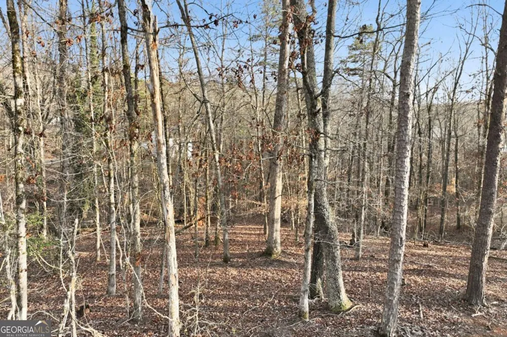 7707 Elm CIR Murrayville, GA 30564