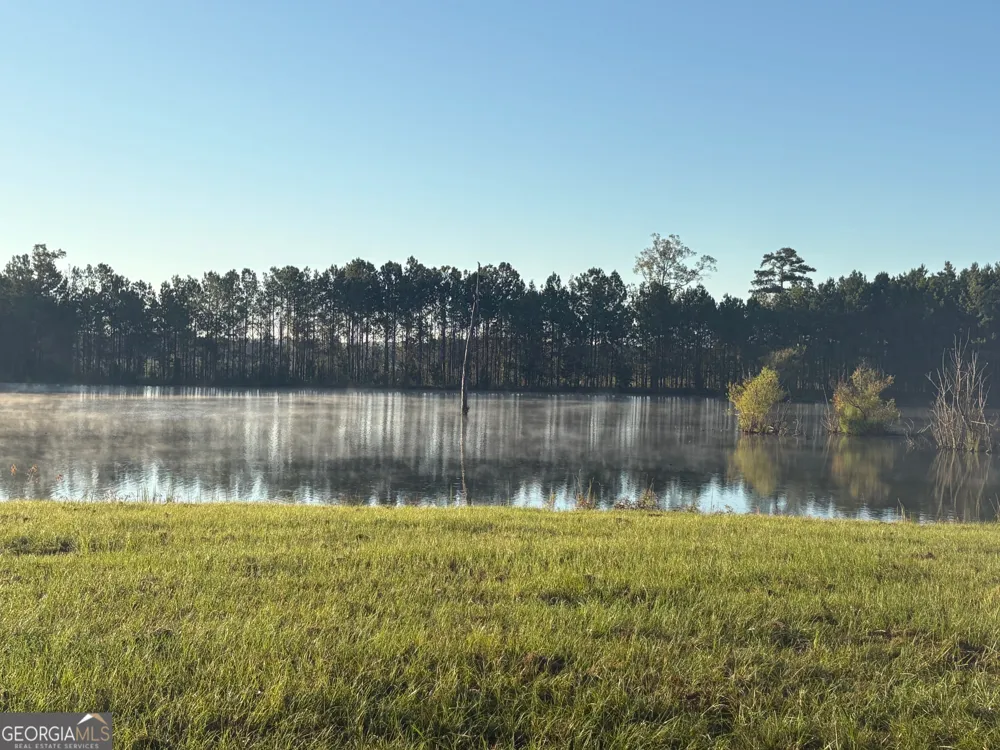 0 Sandy Creek RD Irwinton, GA 31042