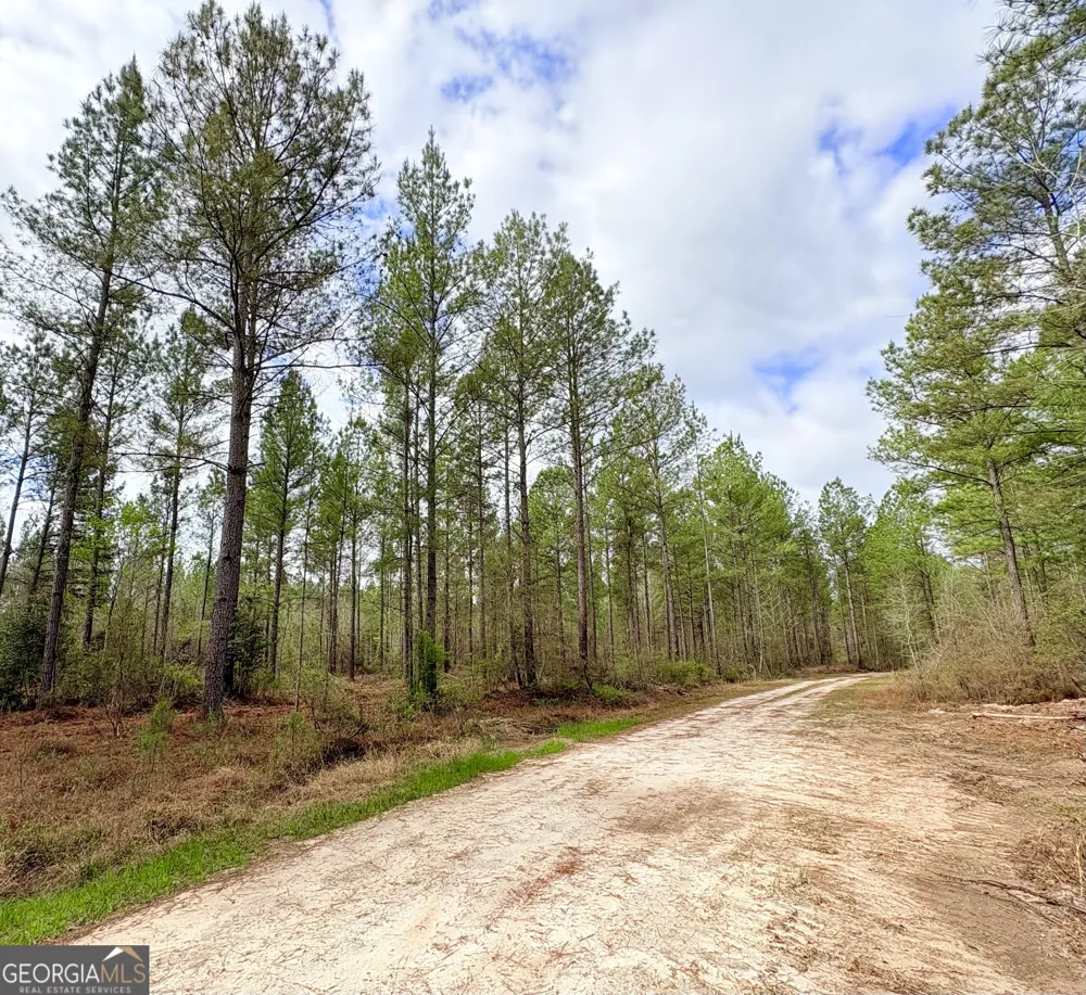0 Sandy Creek RD Irwinton, GA 31042