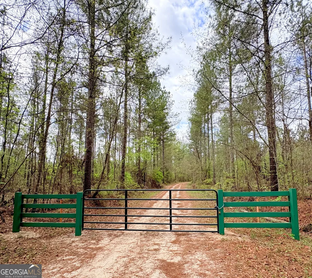 0 Sandy Creek RD Irwinton, GA 31042