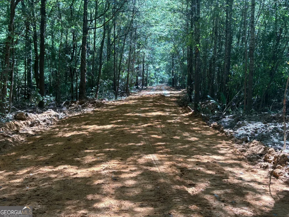 0 Sandy Creek RD Irwinton, GA 31042