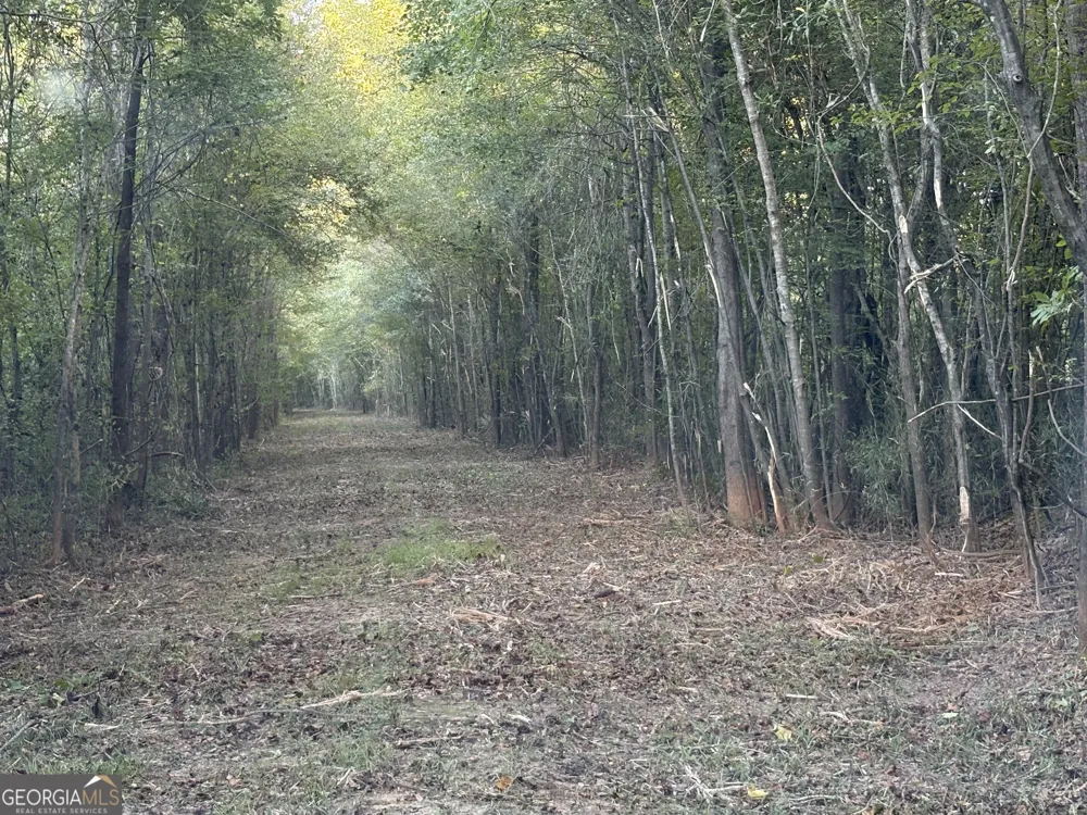 0 Sandy Creek RD Irwinton, GA 31042