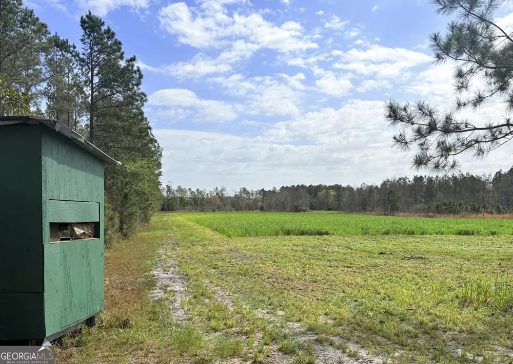 0 Sandy Creek RD Irwinton, GA 31042