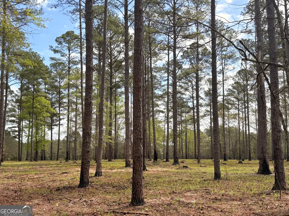 0 Sandy Creek RD Irwinton, GA 31042