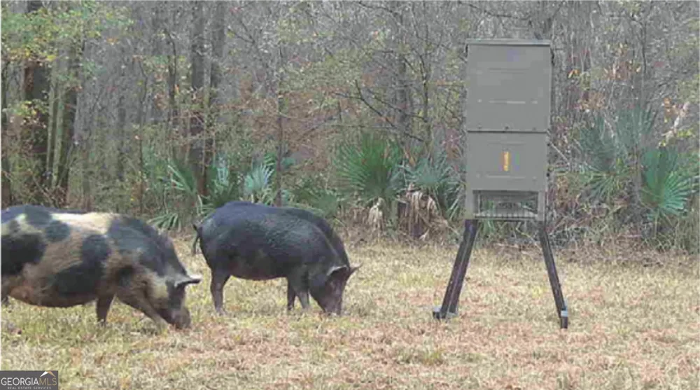 0 Sandy Creek RD Irwinton, GA 31042