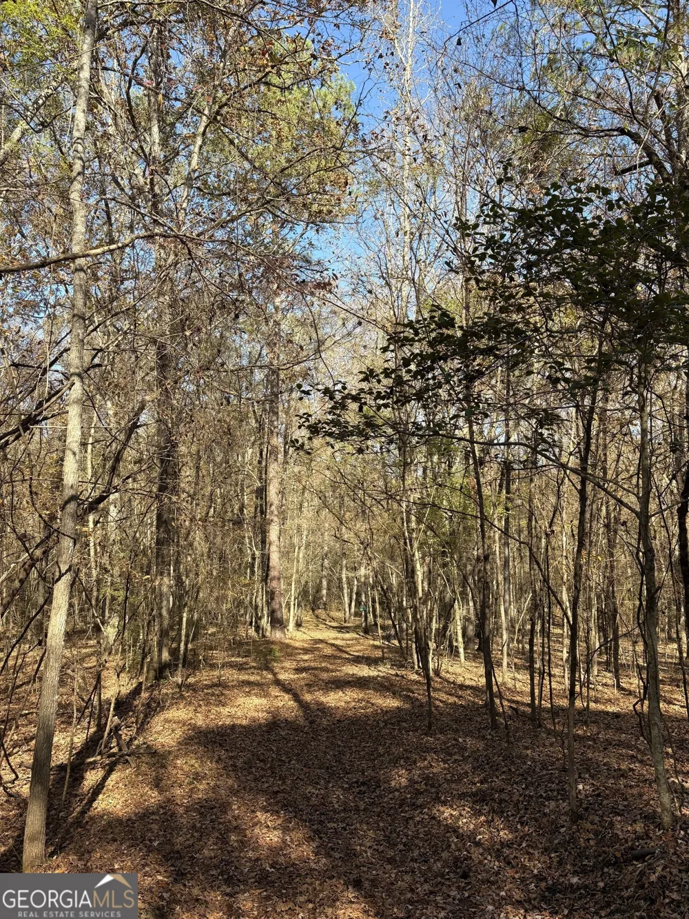 16475 Georgia 16 Monticello, GA 31064