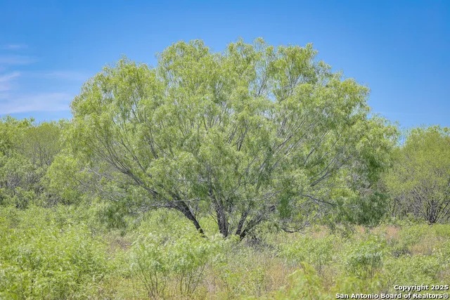 6266 Highway 281 Three Rivers, TX 78071