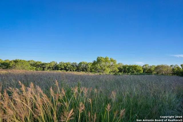 6266 Highway 281 Three Rivers, TX 78071