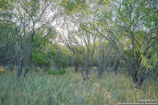 6266 Highway 281 Three Rivers, TX 78071