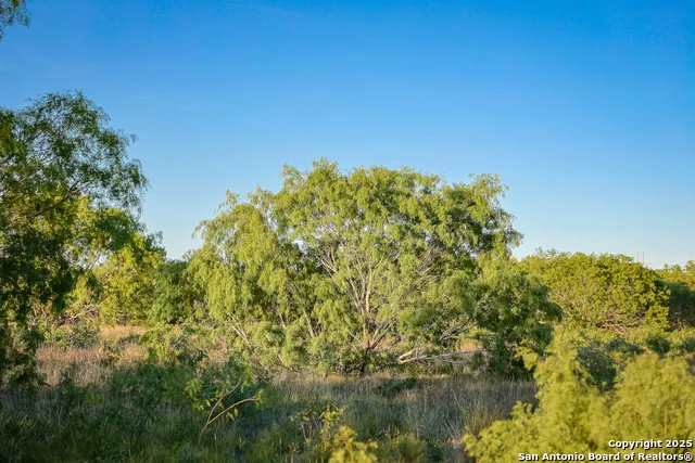 6266 Highway 281 Three Rivers, TX 78071