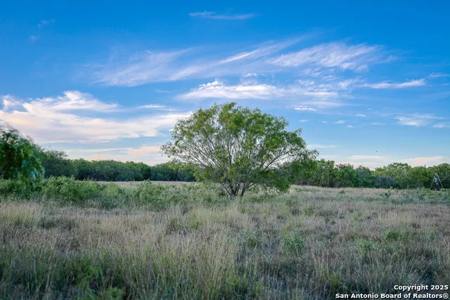 6266 Highway 281 Three Rivers, TX 78071