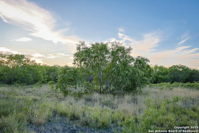 6266 Highway 281 Three Rivers, TX 78071