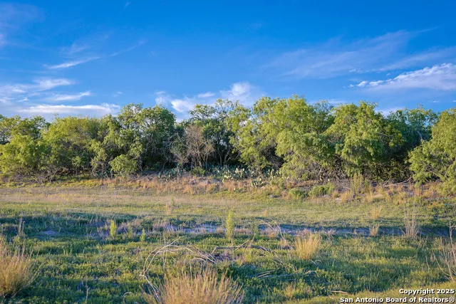 6266 Highway 281 Three Rivers, TX 78071
