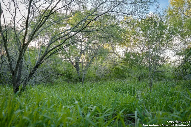 6266 Highway 281 Three Rivers, TX 78071