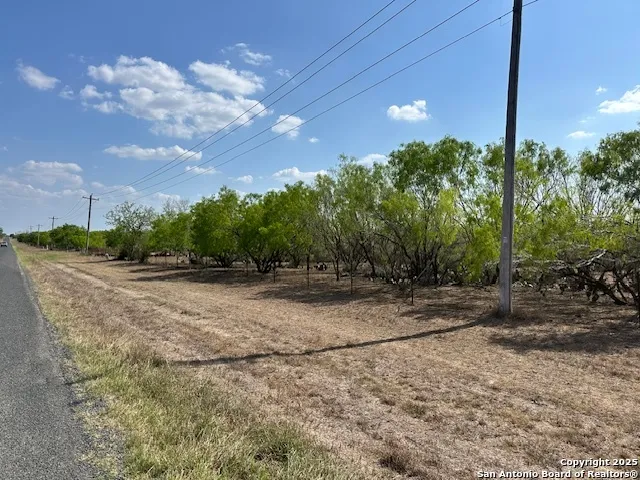 TBD Christine Rd Jourdanton, TX 78026
