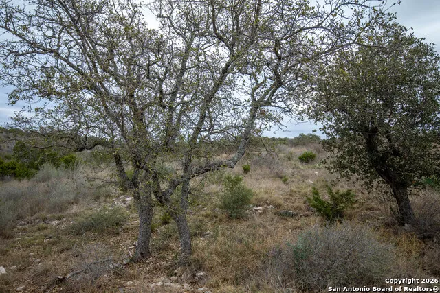 LOT 94 Hidden Cove Kingsland, TX 78639