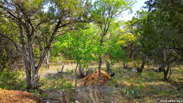 37 Stardust Wimberley, TX 78676