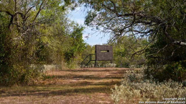 916 County Road 421 Waelder, TX 78959