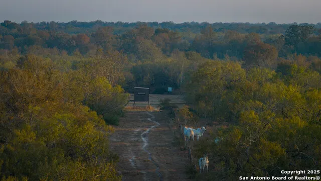 916 County Road 421 Waelder, TX 78959