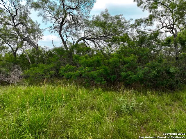 0000 Count Road 5232 Dhanis, TX 78850