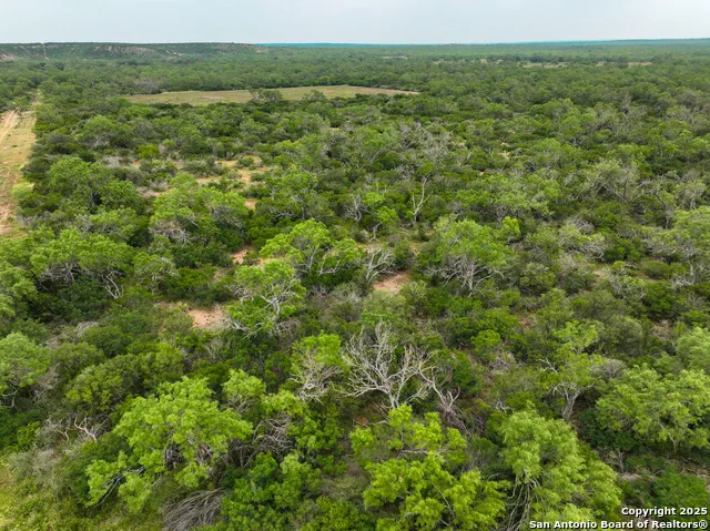 0000 Count Road 5232 Dhanis, TX 78850
