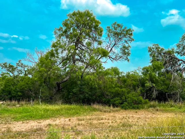 0000 Count Road 5232 Dhanis, TX 78850
