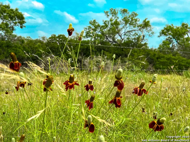 0000 Count Road 5232 Dhanis, TX 78850