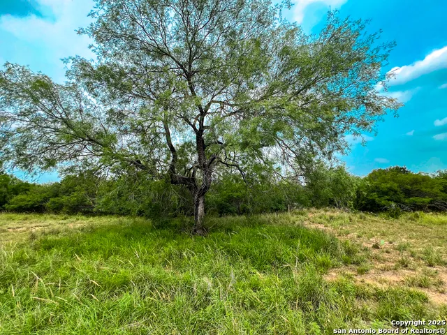 0000 Count Road 5232 Dhanis, TX 78850