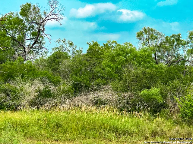 0000 Count Road 5232 Dhanis, TX 78850