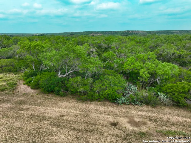 0000 Count Road 5232 Dhanis, TX 78850