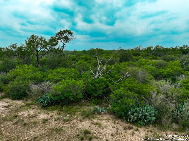 0000 Count Road 5232 Dhanis, TX 78850