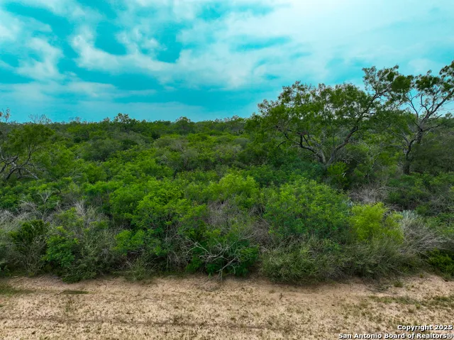 0000 Count Road 5232 Dhanis, TX 78850
