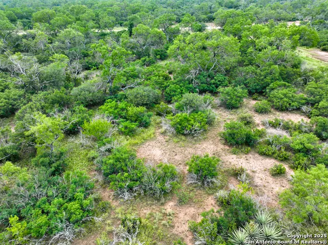 0000 Count Road 5232 Dhanis, TX 78850