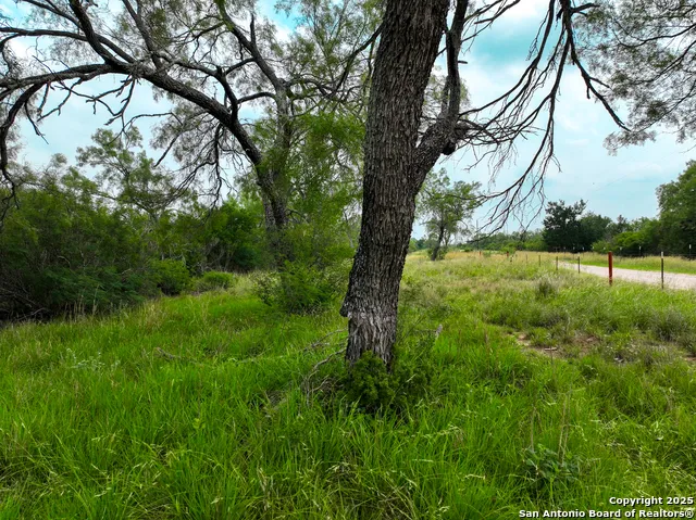 0000 Count Road 5232 Dhanis, TX 78850