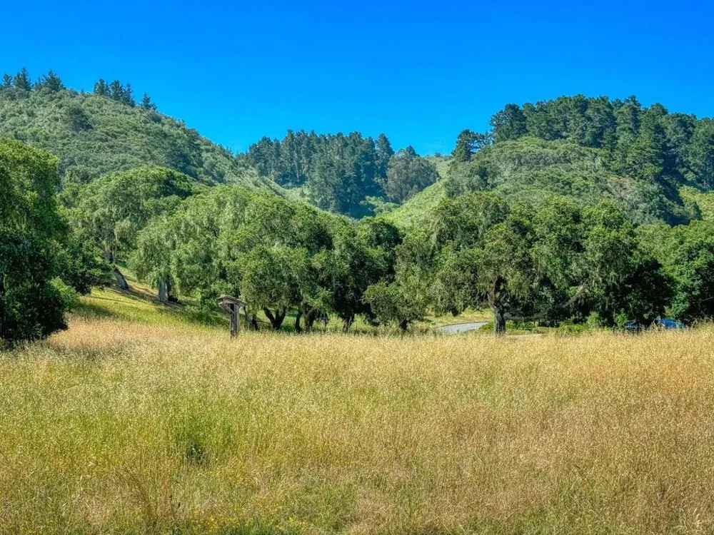 8340 Vista Monterra Monterey, CA 93940