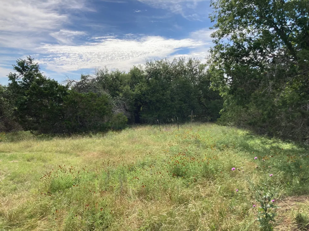 1050 Harmon Hills Road Dripping Springs, TX 78620