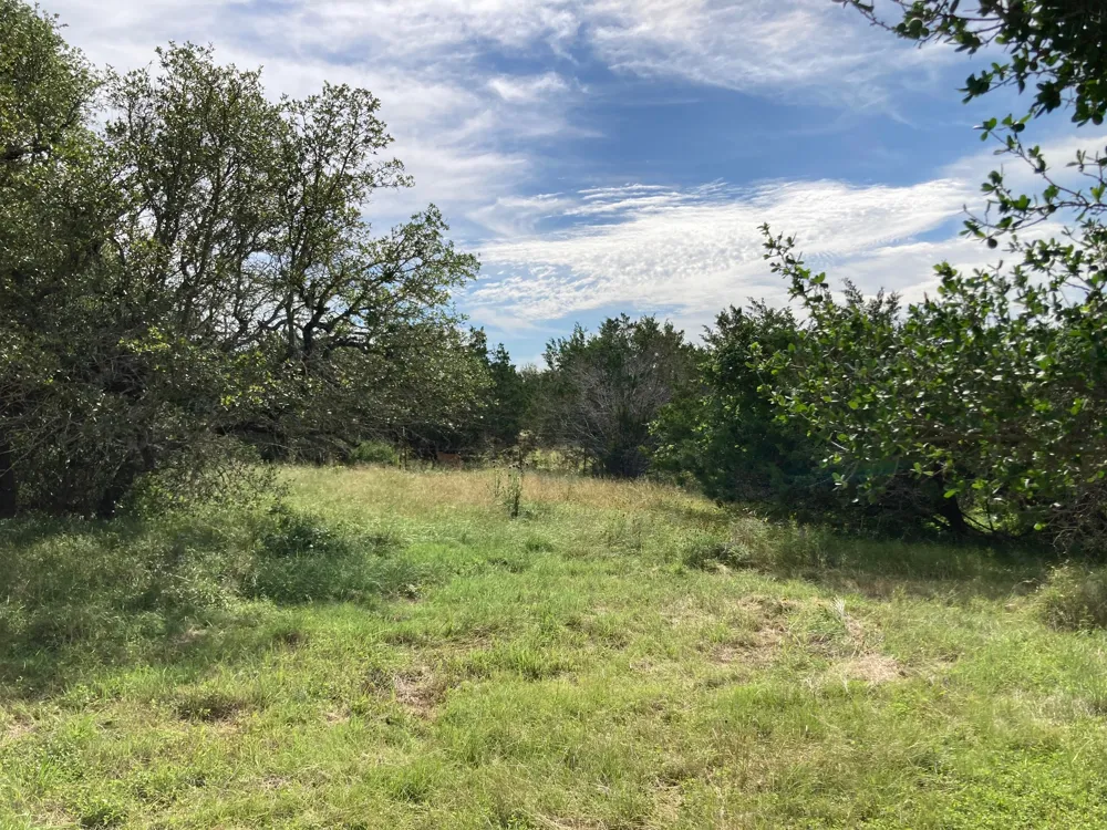 1050 Harmon Hills Road Dripping Springs, TX 78620