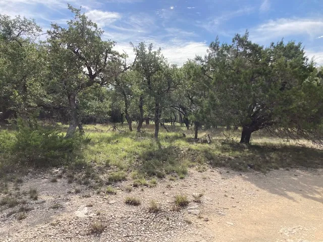 1050 Harmon Hills Road Dripping Springs, TX 78620