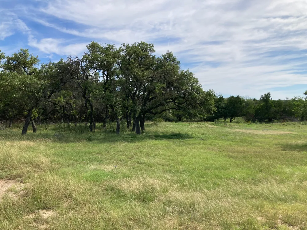 1050 Harmon Hills Road Dripping Springs, TX 78620