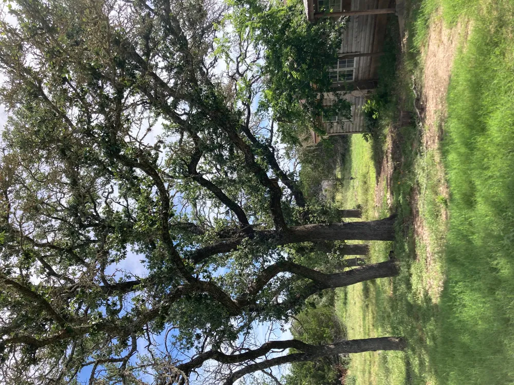 1050 Harmon Hills Road Dripping Springs, TX 78620