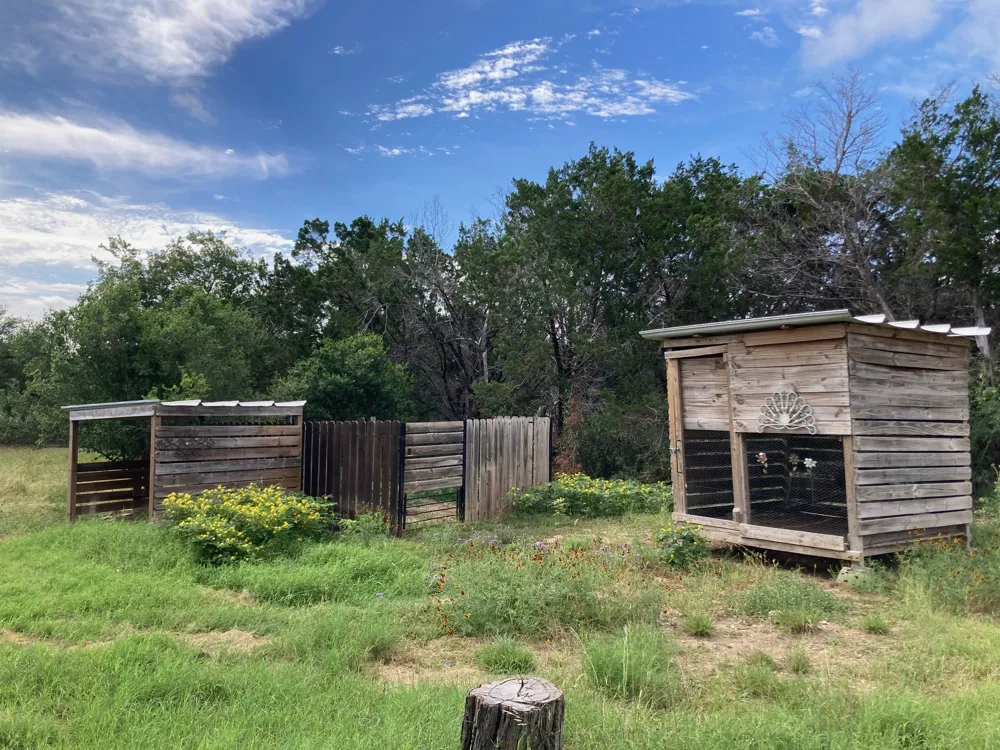1050 Harmon Hills Road Dripping Springs, TX 78620