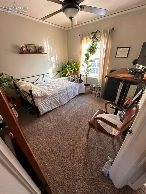 316 W 21st Street Pueblo, CO 81003