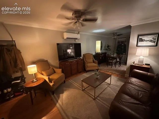 316 W 21st Street Pueblo, CO 81003