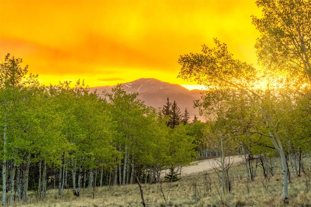 847 Palomino Road Como, CO 80432
