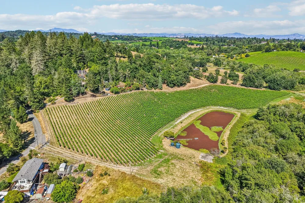 6941 Ellen Lane Forestville, CA 95436