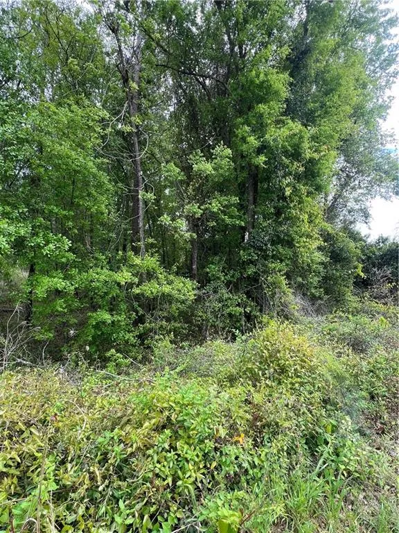 0 S M L K Jr Boulevard Americus, GA 31719